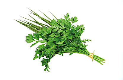 Cheiro Verde